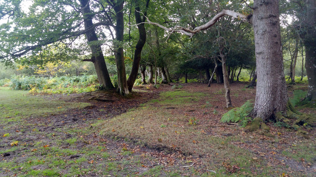 Remains Of Bishops Dyke On The Edge Of © Phil Champion Geograph Britain And Ireland 7771