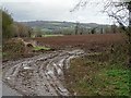 Field entrance off Mill Lane