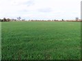 SP5111 : An arable field near Water Eaton by Steve Daniels