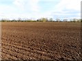 SP5211 : Arable field near Water Eaton by Steve Daniels