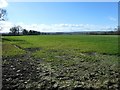 Farmland between Long Lane and Moor Lane