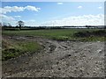 Farmland east of Langwith House