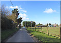 TG3824 : Entering Stalham on Rectory Road by Adrian S Pye