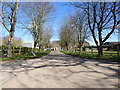 The driveway to Poplar Farm, Hickling