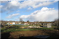 Allotments at Kingsthorpe