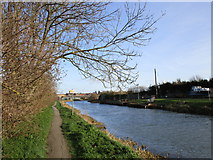 SE9907 : The Old River Ancholme at Brigg by Jonathan Thacker