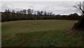 Ridge and Furrow Patterns, East of Badby