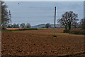 Taunton Deane : Muddy Field