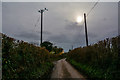 Taunton Deane : Langford Lane