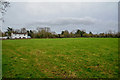 Taunton Deane : Grassy Field