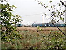 SH5727 : Train arriving at Llanbedr Halt by Eirian Evans