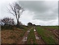 Farm track on Metcombe Down