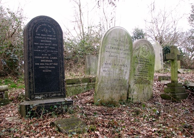 Recently cleared graves