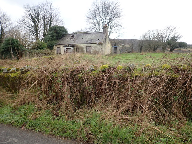Derelict cottage at the junction of Newtown Road and the R132 (Dublin Road)