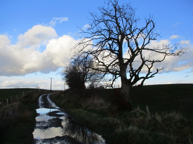 Track near South Garngour