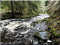 Moniack Burn in Reelig Glen