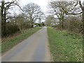 A hedge and tree-lined Sand Lane entering Osgodby