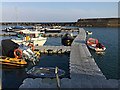 SY3491 : Deep-water berths for small craft, Lyme Regis harbour by Robin Stott
