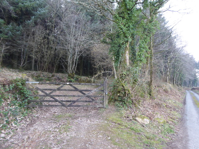 Entrance gate to Hawk's Wood
