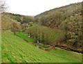 Feeder to the Yeo valley