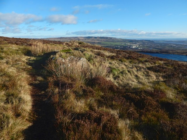 Path on Carman Hill