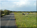 Disused part of Fort Road, Tilbury