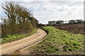 The lane to Boyton Hall Farm