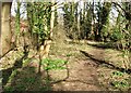 Footpath to Thorpe Hall Close