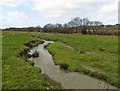 River Axe, near Mosterton