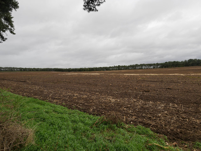 Field cultivations © David Pashley :: Geograph Britain and Ireland