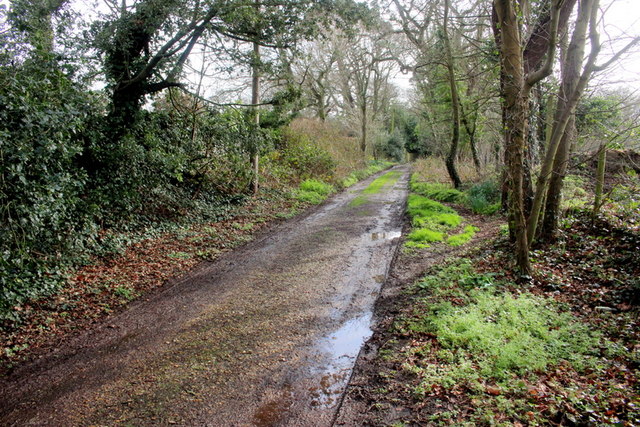 Old Track Near Highcliffe