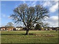 Open land at Wolston