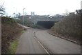 TF1800 : Cycle route under Maskew Avenue by Bob Harvey