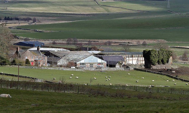 Colmslie Farm