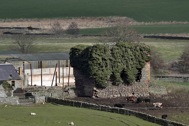 The remains of Colmslie Tower