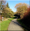 Path north of Lewis Square, Upper Abercanaid