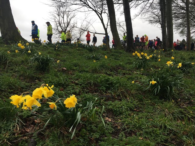 Spring colour at a wet & windy parkrun