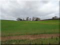 Farmland, Crosshill