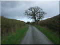 Lane towards Merrington