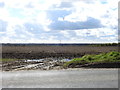 Freshly ploughed field off Lion Road, south of Diss