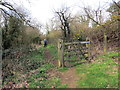 Llwybr Pentre Ifan / Pentre Ifan path