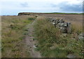 East along the Cleveland Way