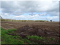 Entrance to stubble field near Balderton Hall