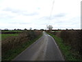 Lane towards Brandwood