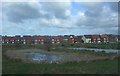 Ponds near Fields Farm