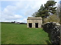 Bijou shippon near the head of Dean Beck