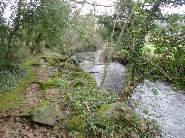 The Forkhill River upstream of the border footbridge