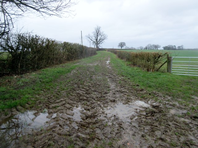 Muddy track to Tanners Farm