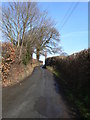 SJ1154 : Minor road north of Pwllglas by Eirian Evans