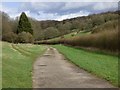 Track, Collingbourne Ducis